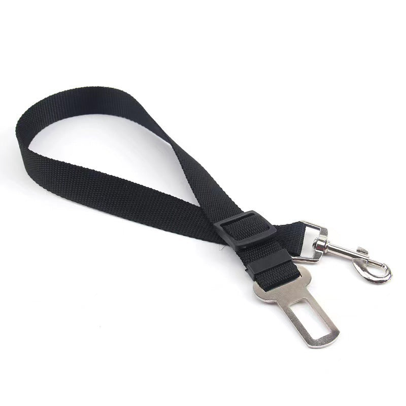 Keep your dog secure and calm on car rides