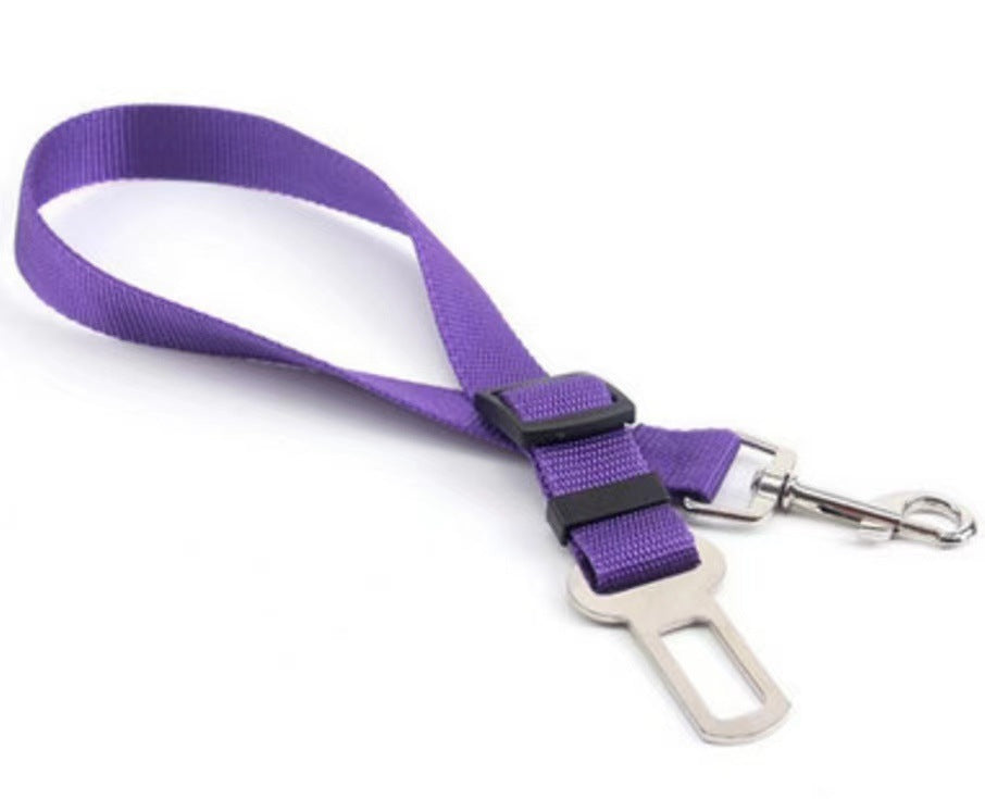 Keep your dog secure and calm on car rides