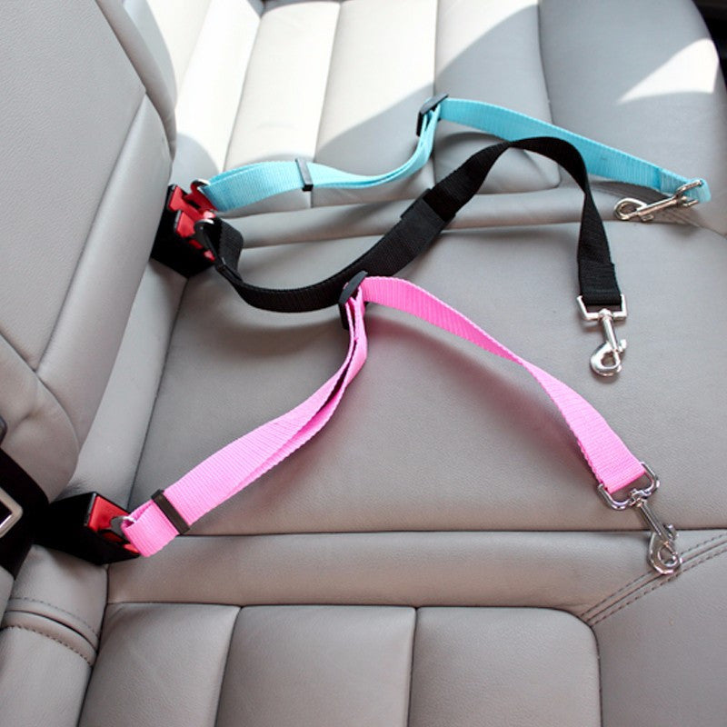 Keep your dog secure and calm on car rides