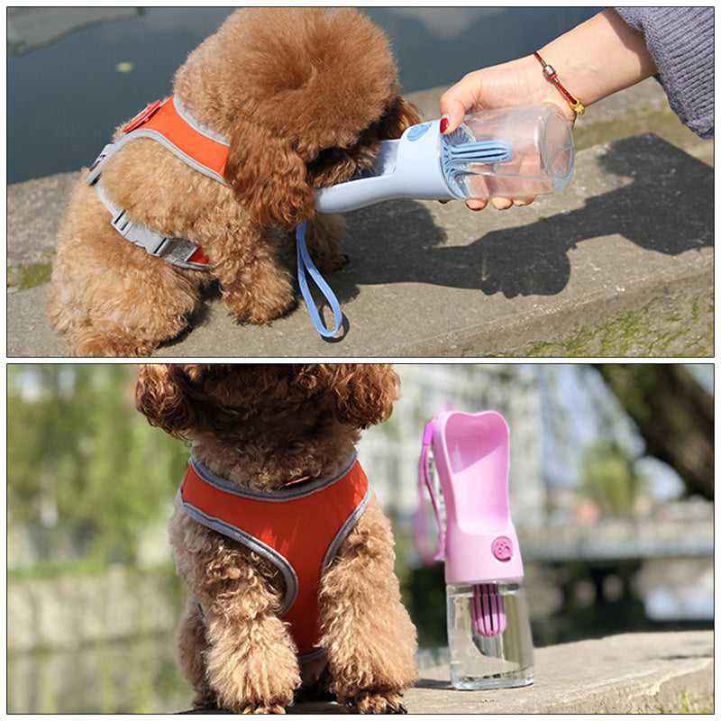 Give your pet fresh water wherever life takes you