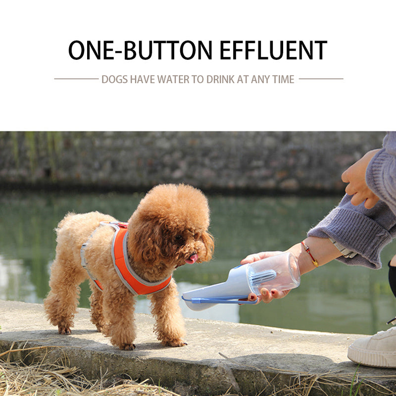 Give your pet fresh water wherever life takes you