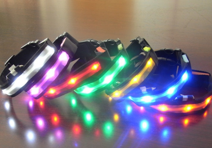 Bright LED collar for safer walks after dark