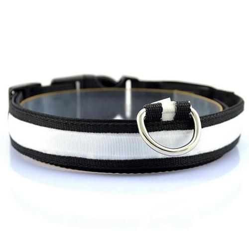 Bright LED collar for safer walks after dark