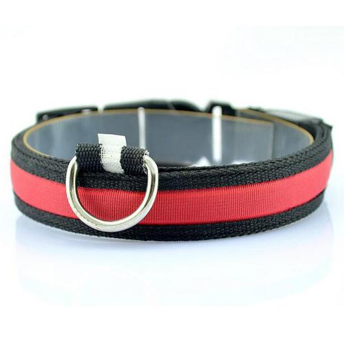 Bright LED collar for safer walks after dark