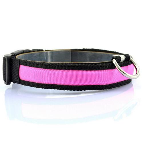 Bright LED collar for safer walks after dark