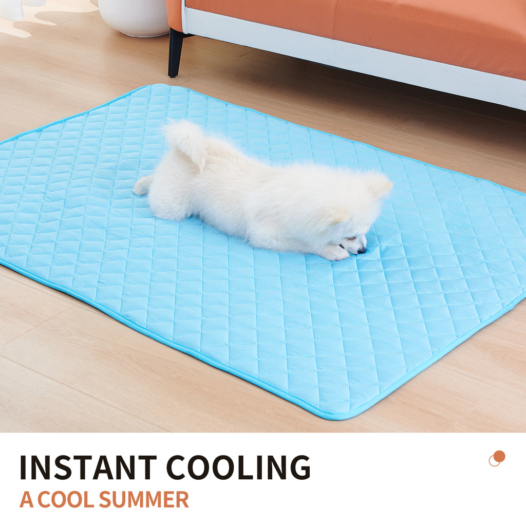 Keep your pet cool and comfortable all summer long