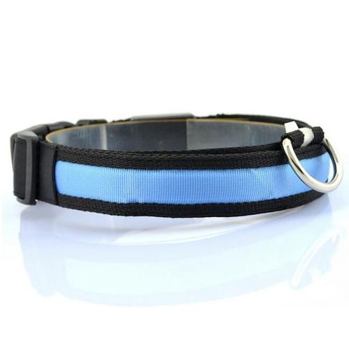 Bright LED collar for safer walks after dark