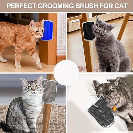 Give your cat a fun, relaxing grooming experience