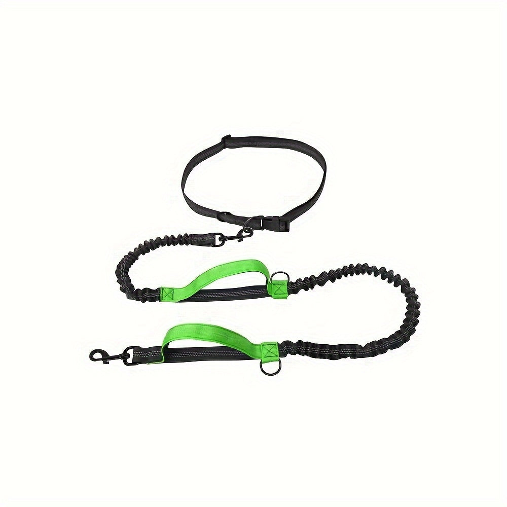 Stay active with your dog, hands-free and comfortable