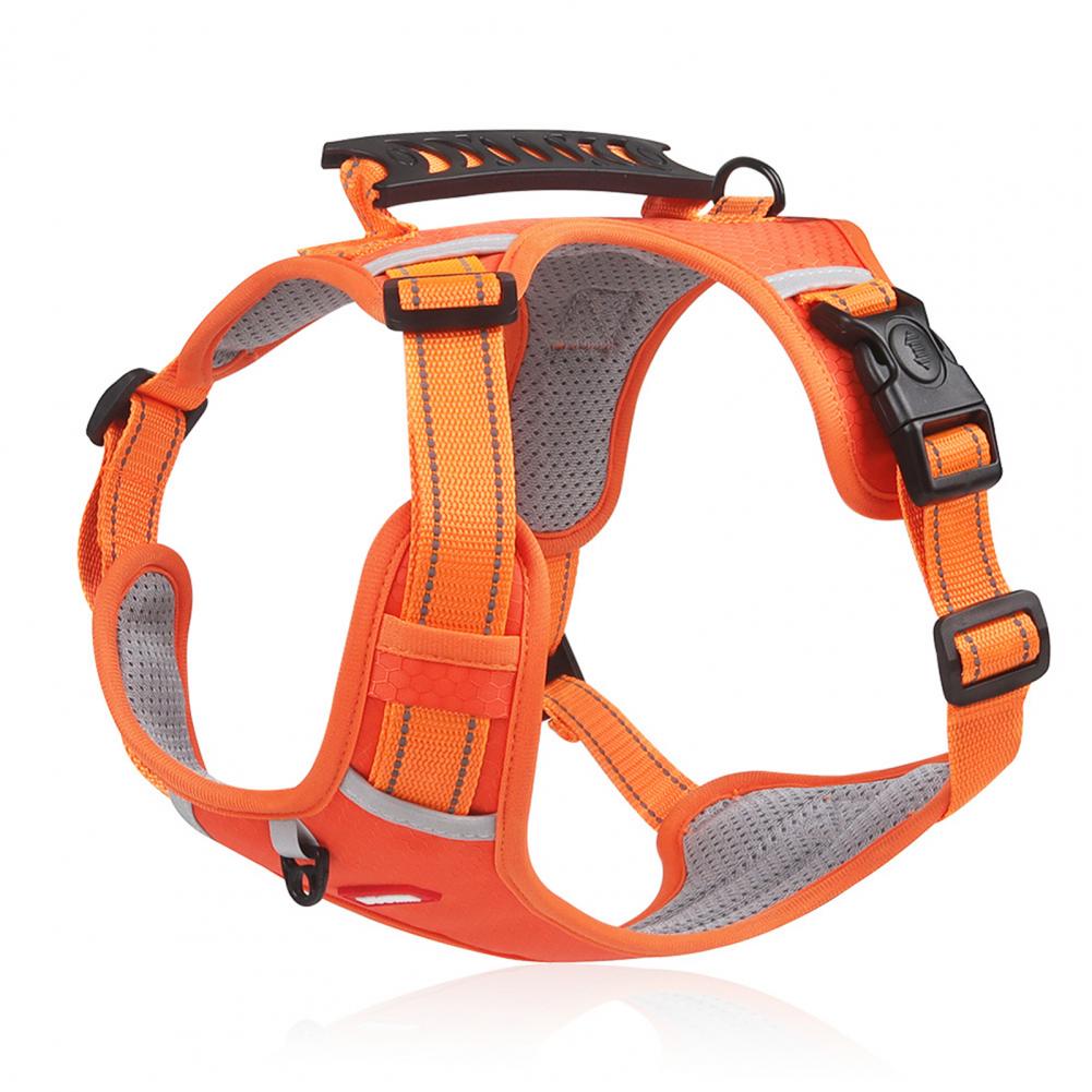 Stress-free walks start with the right dog harness
