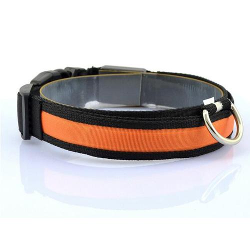 Bright LED collar for safer walks after dark
