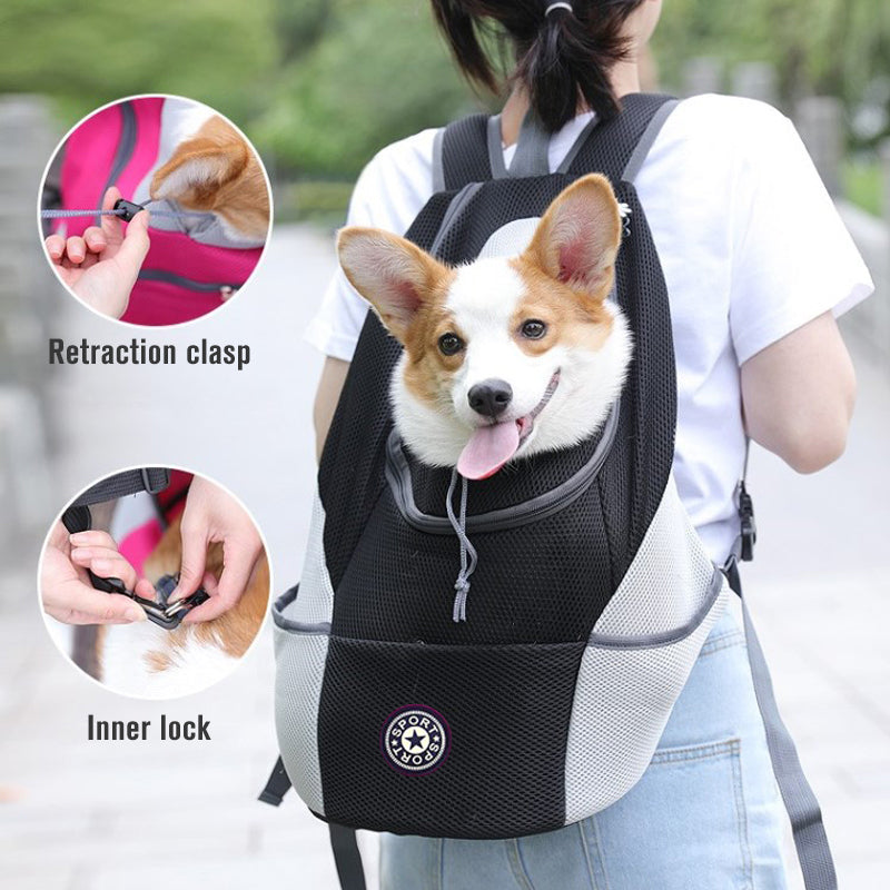Explore more places with your pet safely and comfortably