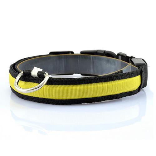 Bright LED collar for safer walks after dark