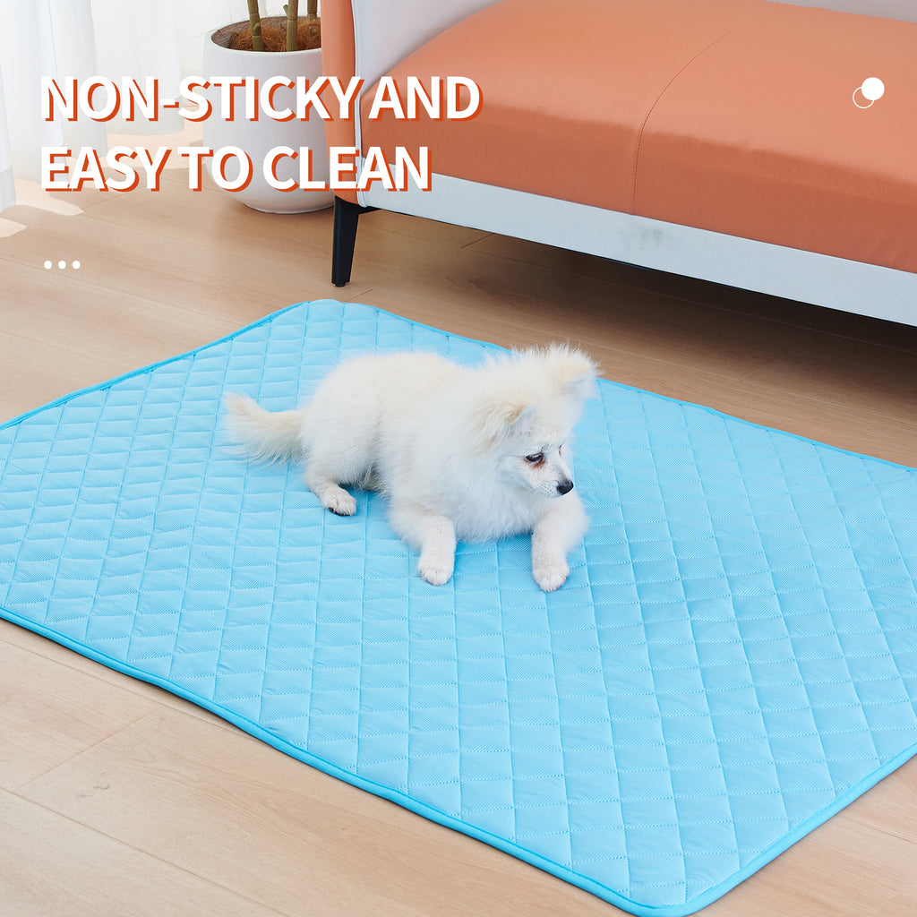 Keep your pet cool and comfortable all summer long
