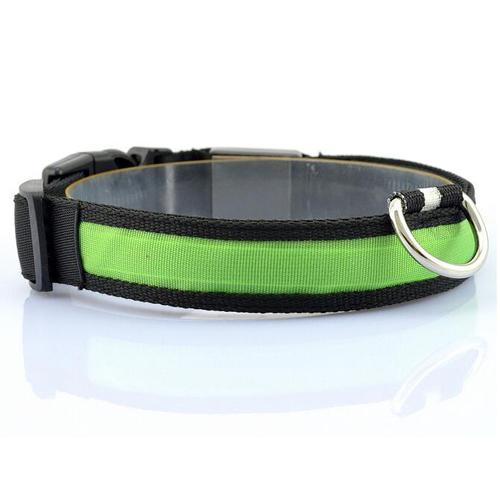 Bright LED collar for safer walks after dark