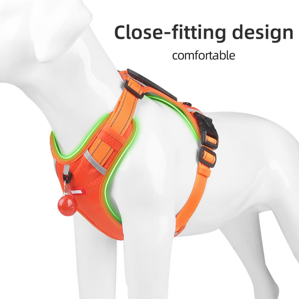 Stress-free walks start with the right dog harness