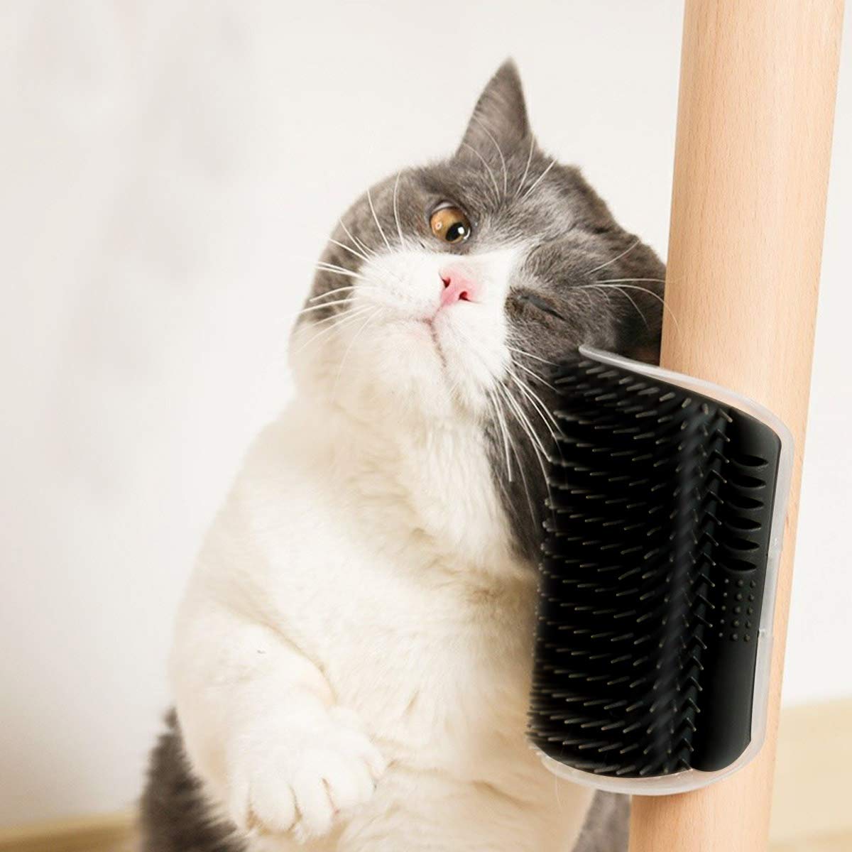 Give your cat a fun, relaxing grooming experience