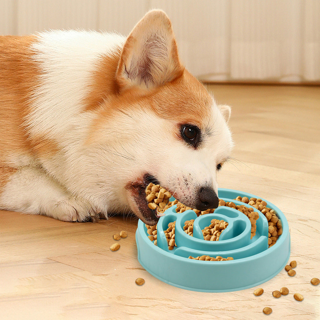 Safer eating made simple with this slow feeder