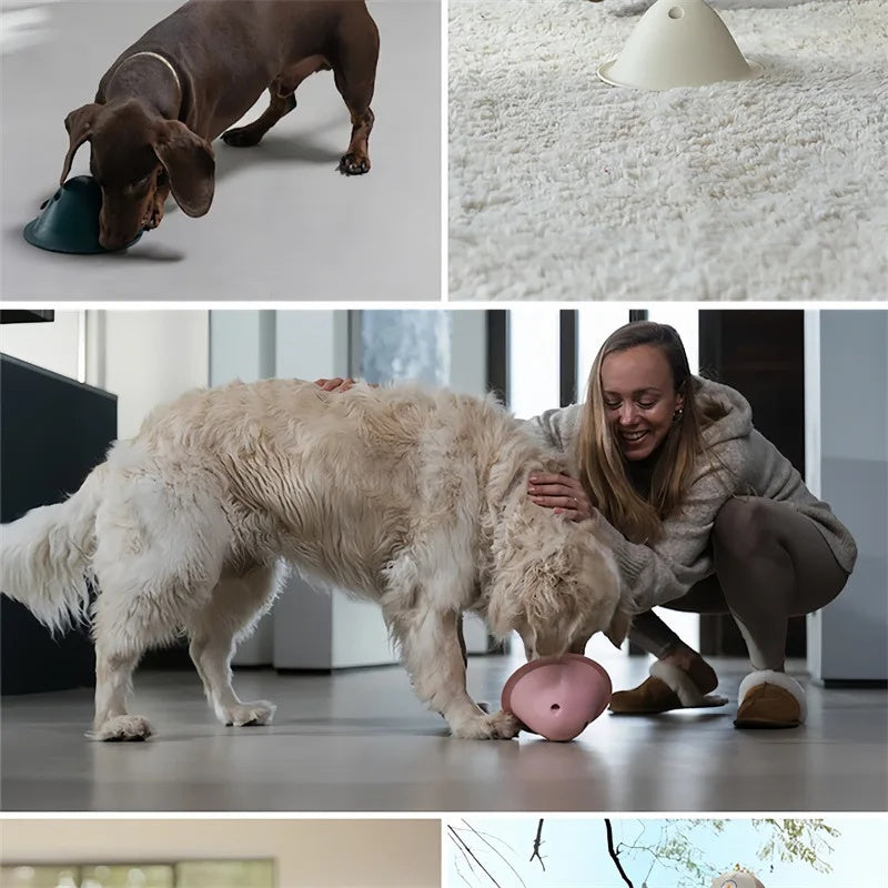 Make playtime fun with this interactive chew toy