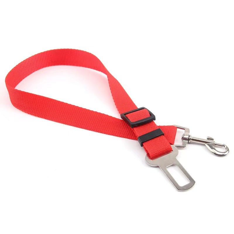 Keep your dog secure and calm on car rides