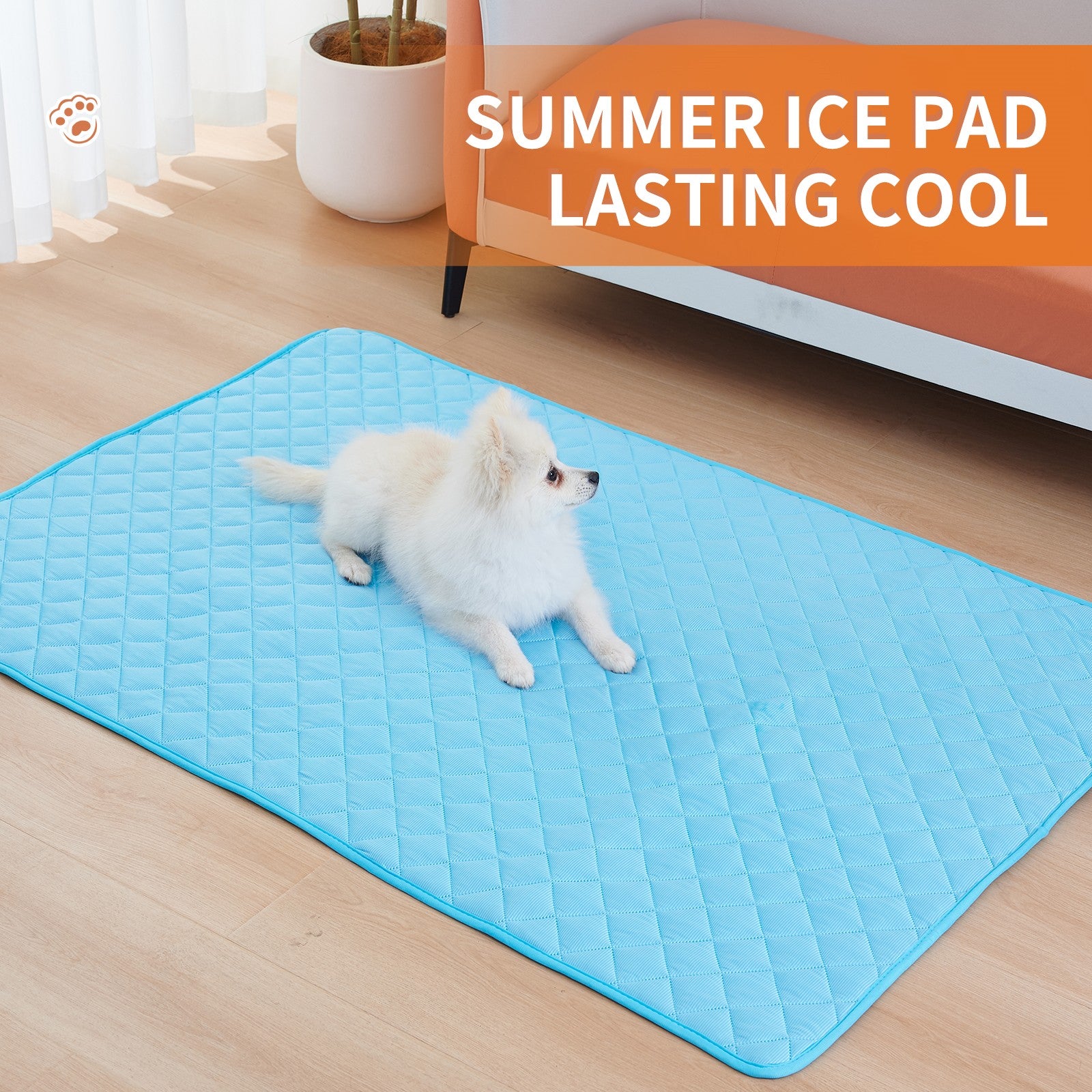 Keep your pet cool and comfortable all summer long