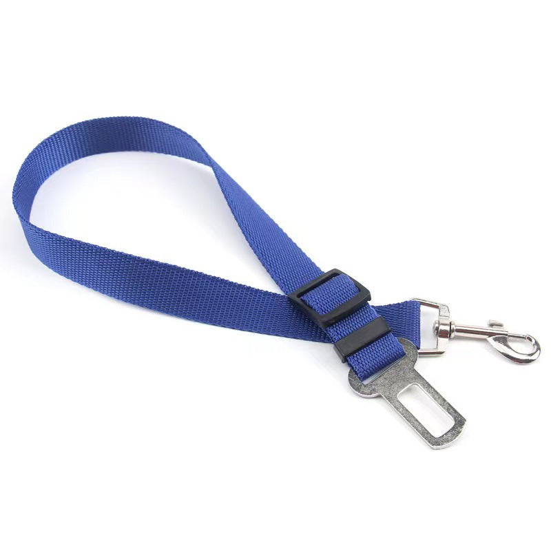 Keep your dog secure and calm on car rides