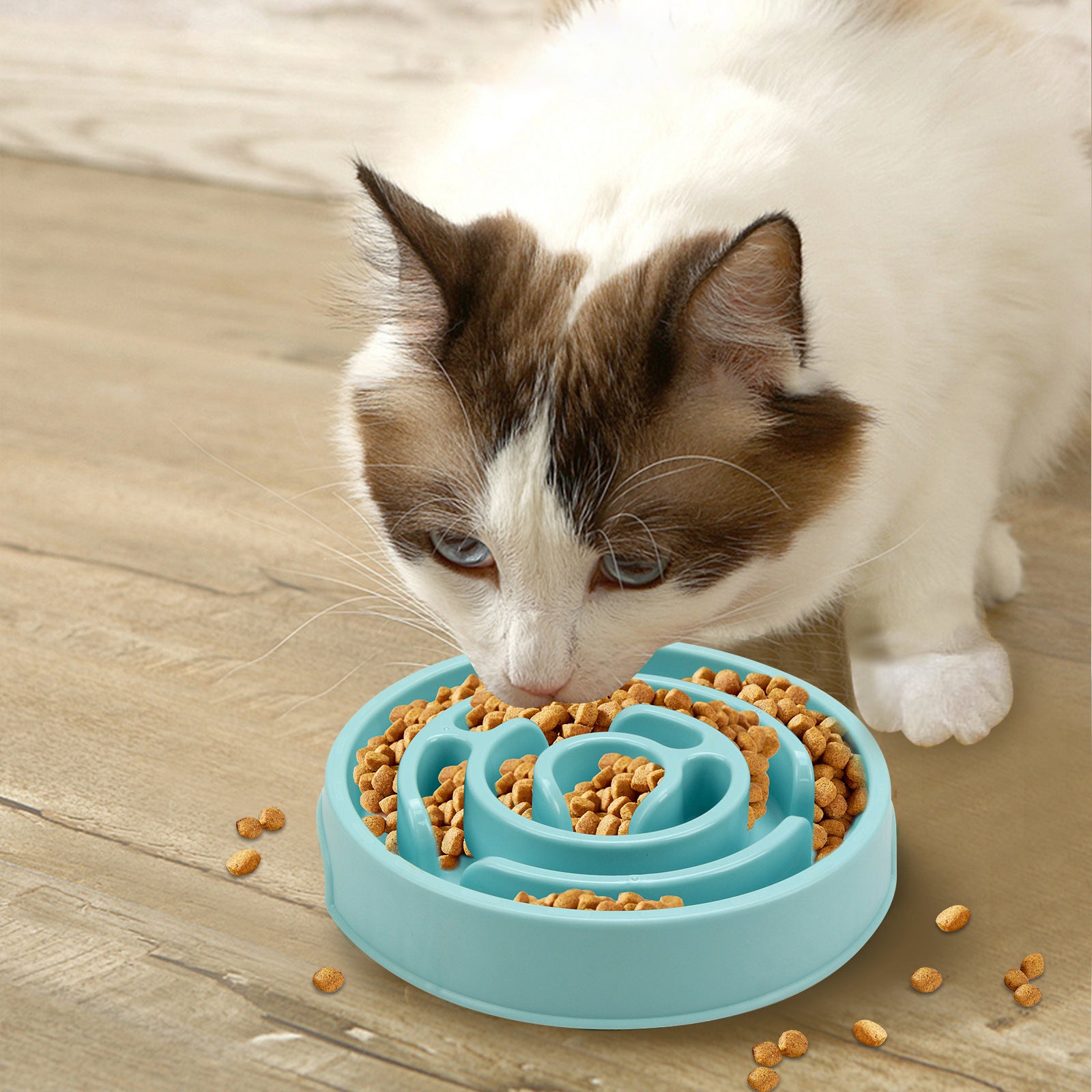 Safer eating made simple with this slow feeder
