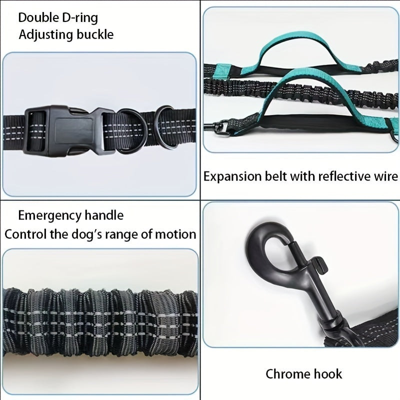 Stay active with your dog, hands-free and comfortable