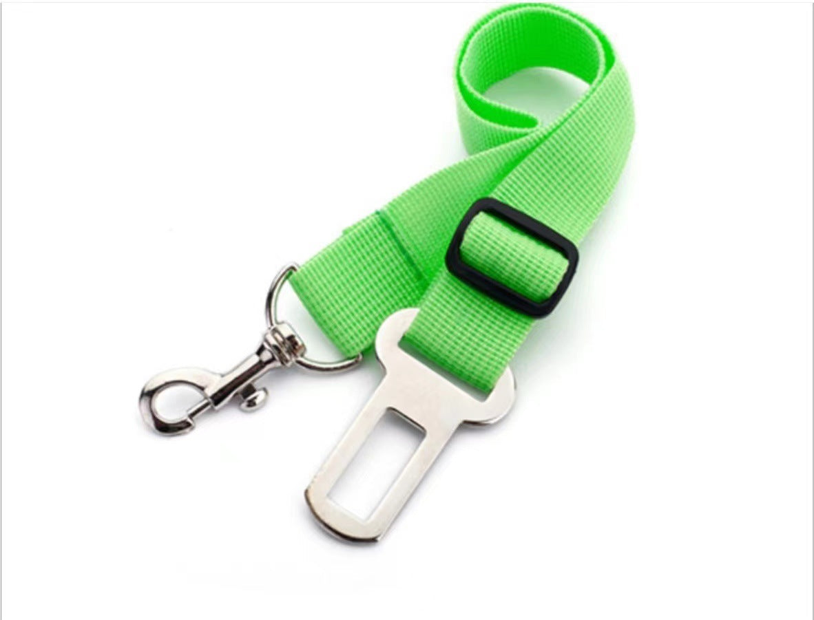 Keep your dog secure and calm on car rides
