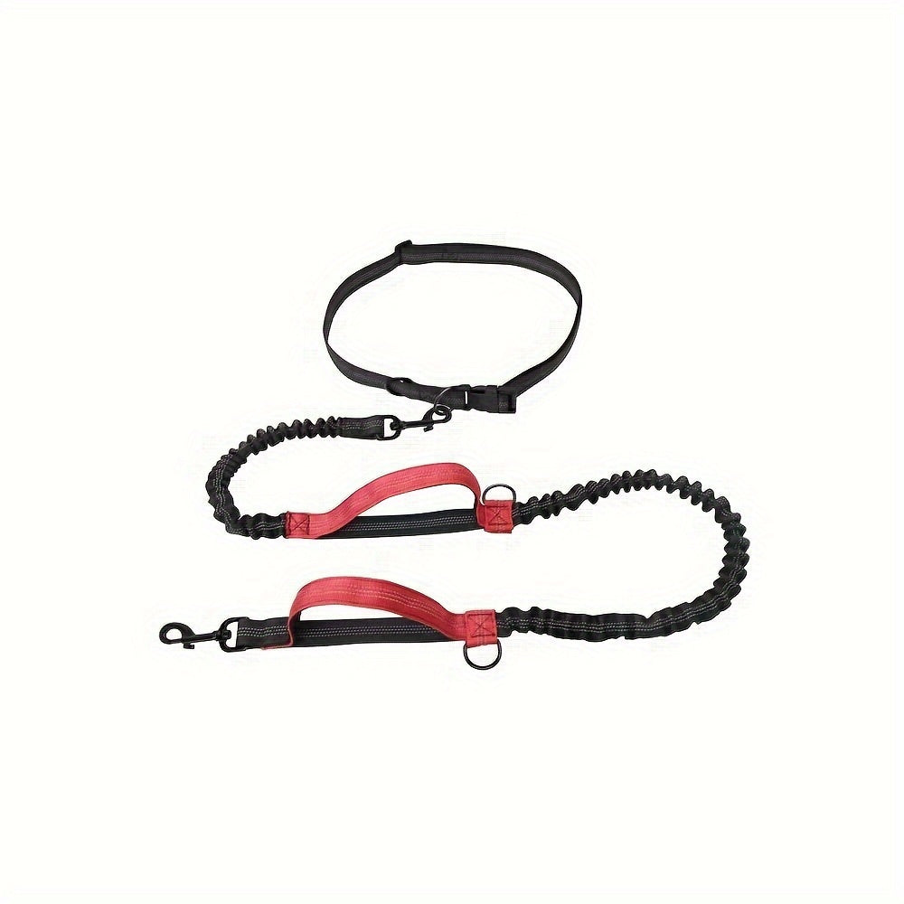 Stay active with your dog, hands-free and comfortable