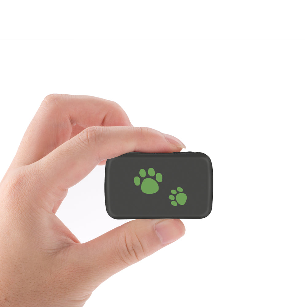 Peace of mind knowing your pet is always located
