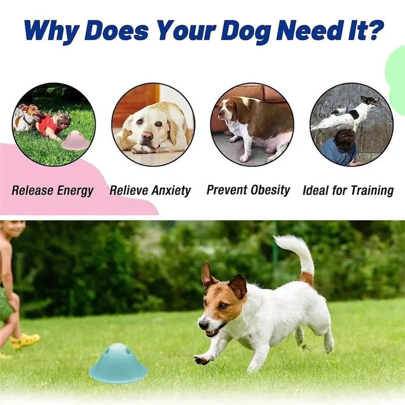 Make playtime fun with this interactive chew toy