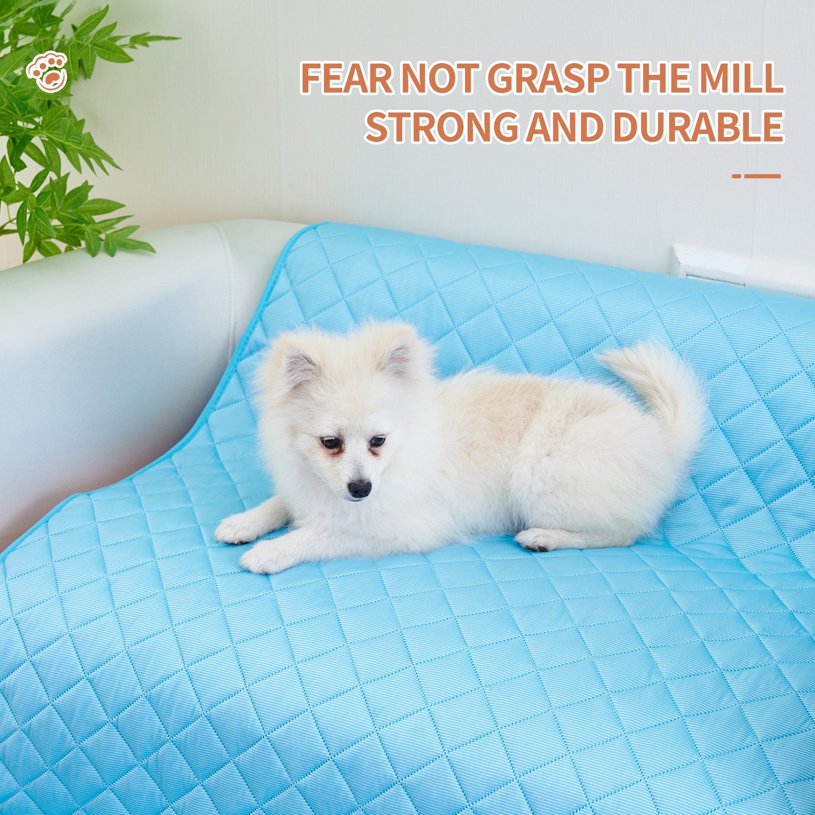 Keep your pet cool and comfortable all summer long